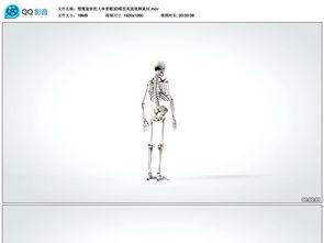 人体模型最新爆料视频,科技与艺术的完美融合 第1张 人体模型最新爆料视频,科技与艺术的完美融合 第1张